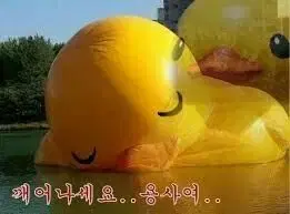 곤충님 결제건